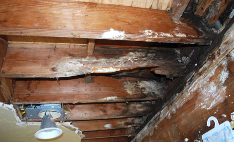 rotted wood floor system from water intrusion